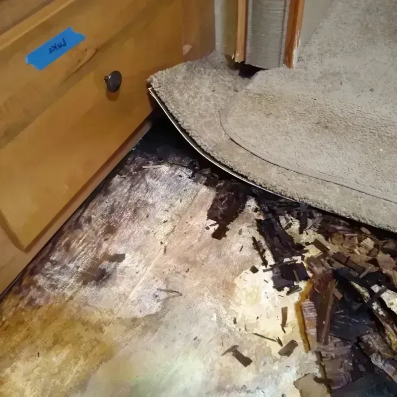 Best Wood Floor Water Damage Service in Artesia, NM